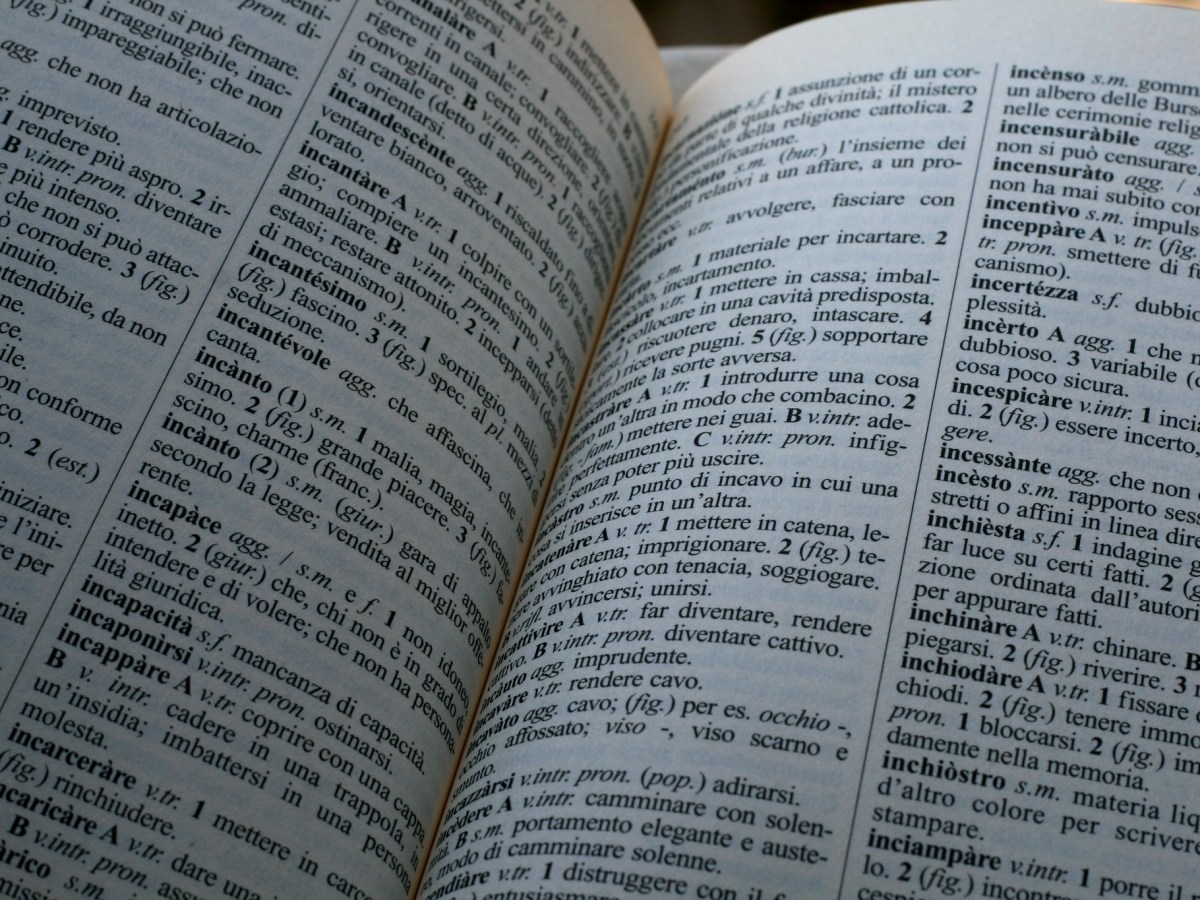 Il dizionario sopravvissuto